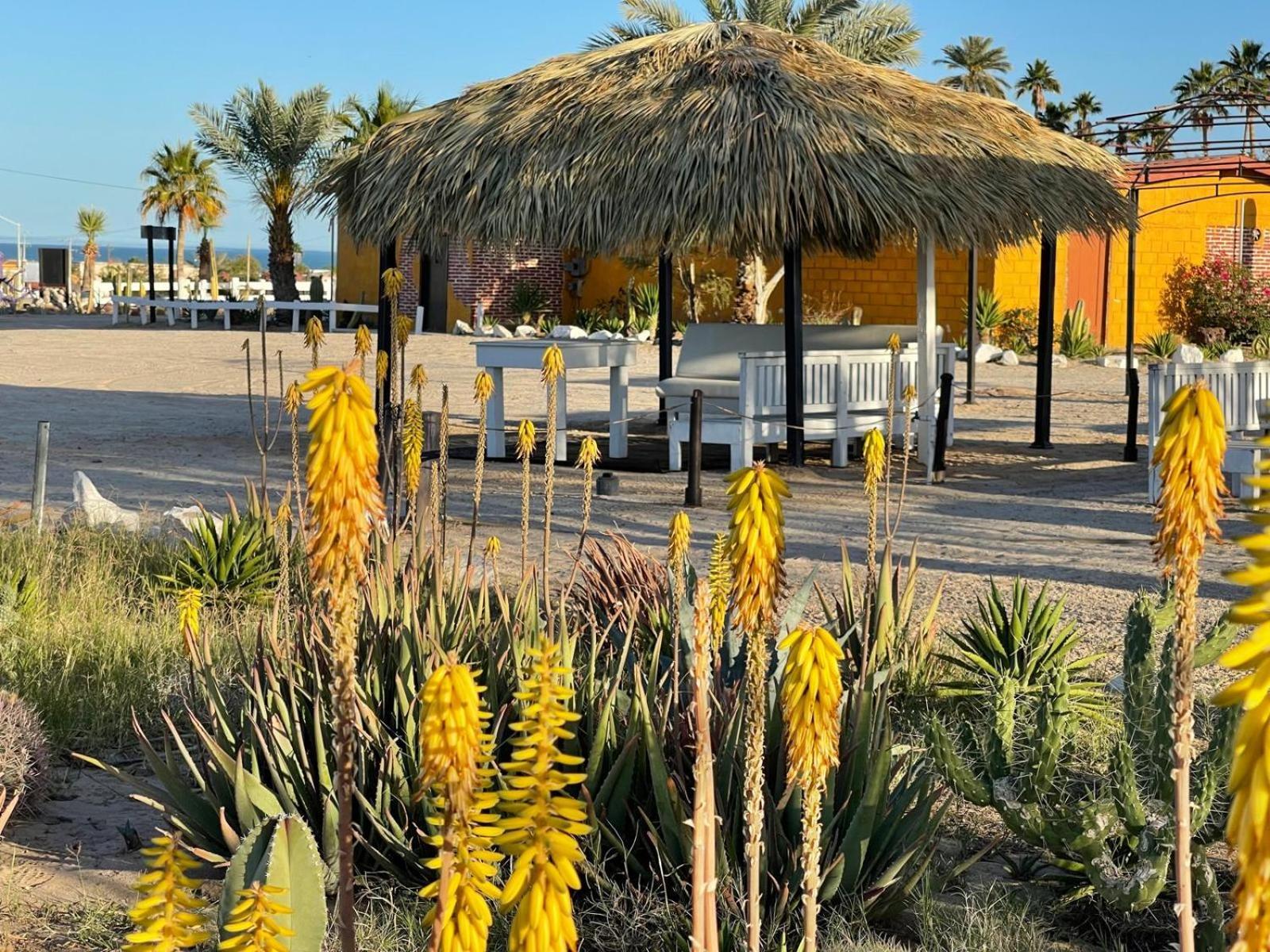Hotel Las Palmas San Felipe  Buitenkant foto