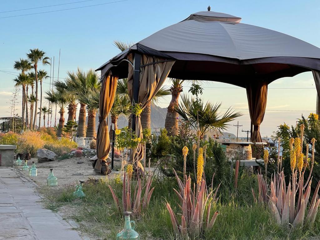 Hotel Las Palmas San Felipe  Buitenkant foto