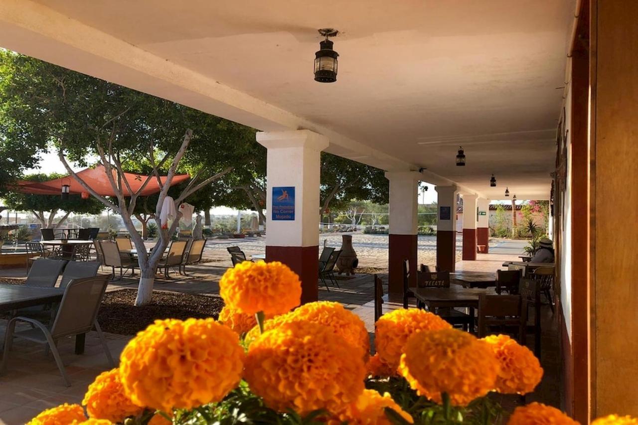 Hotel Las Palmas San Felipe  Buitenkant foto